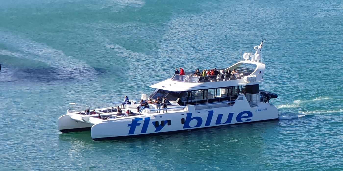 catamaran marbella malaga paseos barco