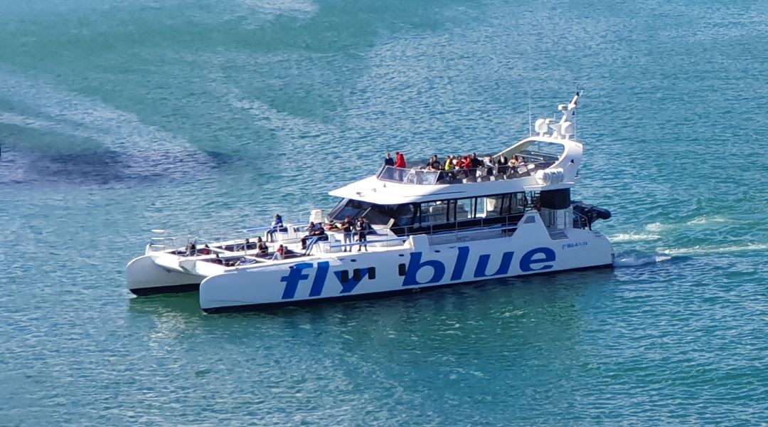 gran catamaran marbella paseos yate lujo malaga excursion